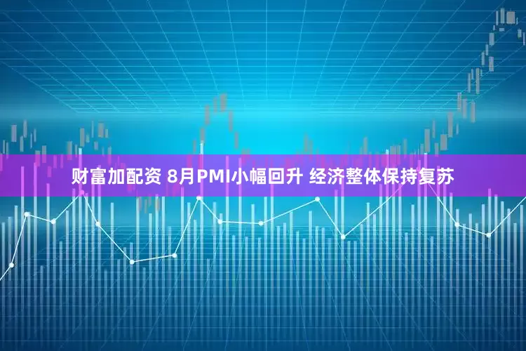 财富加配资 8月PMI小幅回升 经济整体保持复苏